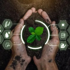 Maturidade tecnológica no agro avança 35% com a cana-de-açúcar na liderança