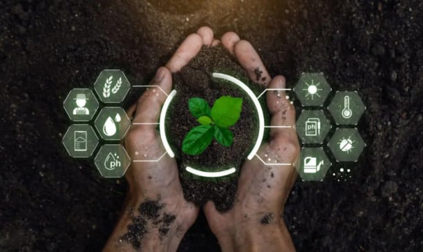 Maturidade tecnológica no agro avança 35% com a cana-de-açúcar na liderança
