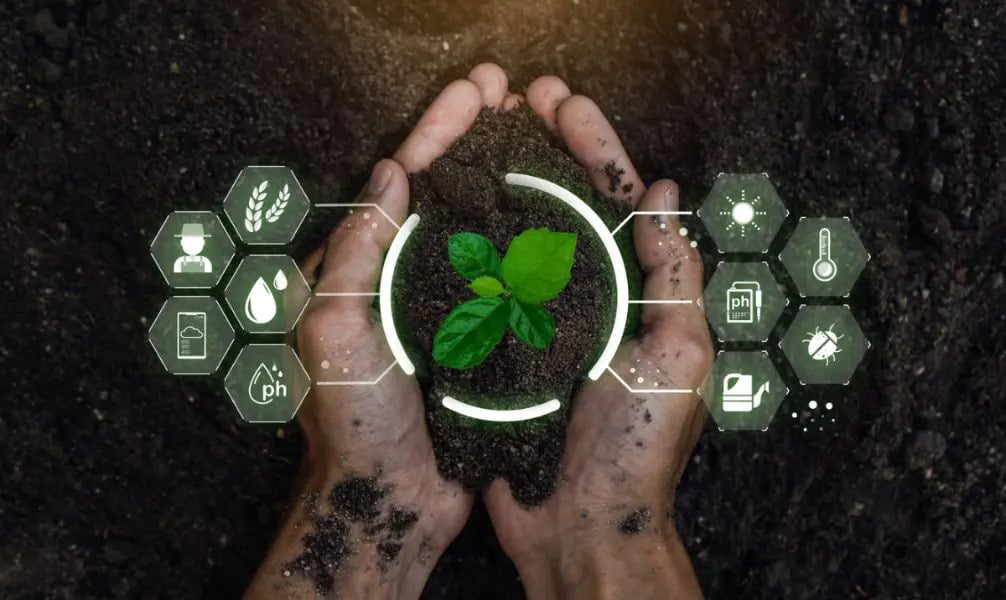 Maturidade tecnológica no agro avança 35% com a cana-de-açúcar na liderança