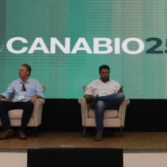 Manejo regenerativo: especialistas apontam para a cana-de-açúcar
