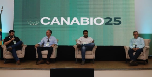 Manejo regenerativo: especialistas apontam para a cana-de-açúcar