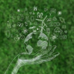 NETs: o futuro econômico e ambiental da bioenergia brasileira