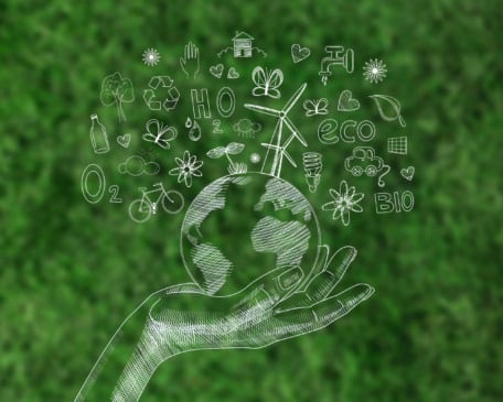 NETs: o futuro econômico e ambiental da bioenergia brasileira