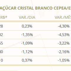 Por que os preços do açúcar branco seguem em queda no mercado paulista