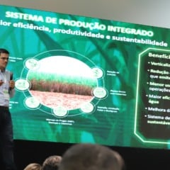 É possível dobrar a produtividade da cana em menos de 20 anos?