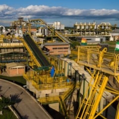 Descubra quais são as usinas protagonistas do MasterCana Brasil & Award 2025
