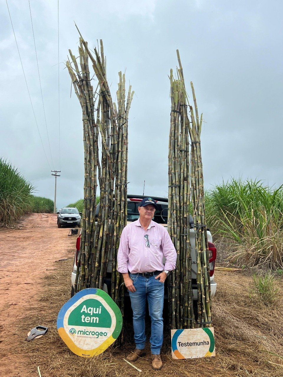 Produtor rompe barreira das 160 t/ha com manejo microbiológico de solo na cana Produtor rompe barreira das 160 t/ha com manejo microbiológico de solo na cana