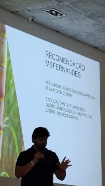 Estratégias para enfrentar a murcha da cana, segundo Michel Fernandes