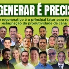 Produtividade da cana estagnada: até quando?