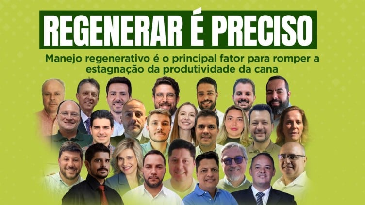 Produtividade da cana estagnada: até quando?