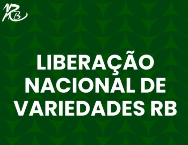 Vêm aí 18 novas variedades de cana-de-açúcar da RIDESA Vêm aí 18 novas variedades de cana-de-açúcar da RIDESA