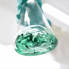 Fabricante anuncia nova usina de biocombustíveis