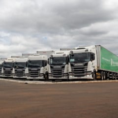 Imagem: Divulgação 