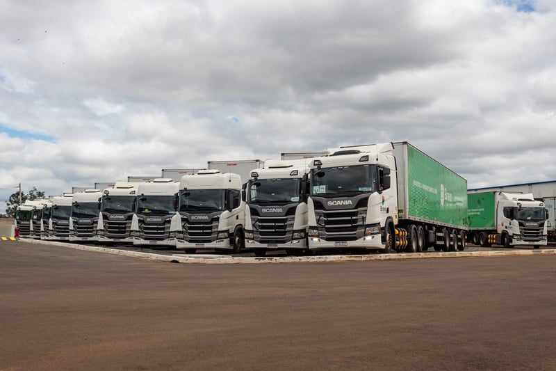 Imagem: Divulgação 