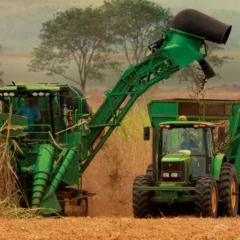 Minas Gerais termina a safra 2025/26 antes do previsto