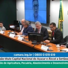 Imagem: Divulgação 