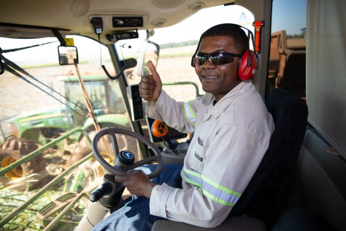 Imagem: Cocal/Divulgação Imagem: Cocal/Divulgação