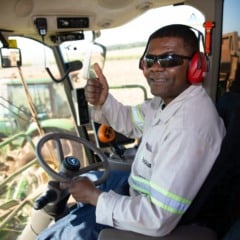 Imagem: Cocal/Divulgação 