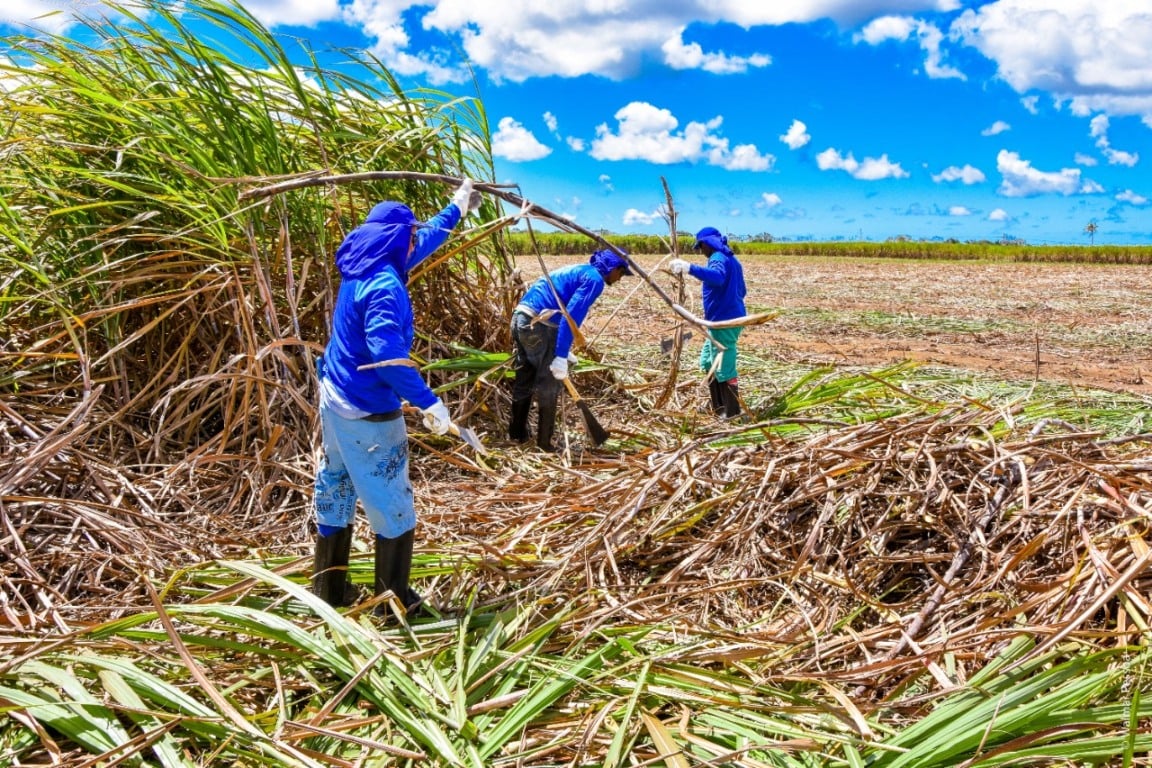 Entidades do Nordeste clamam por ajuda para superar crise no setor canavieiro