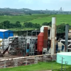 Saiba como a Usina São José do Pinheiro  avança em processos eficiência térmica