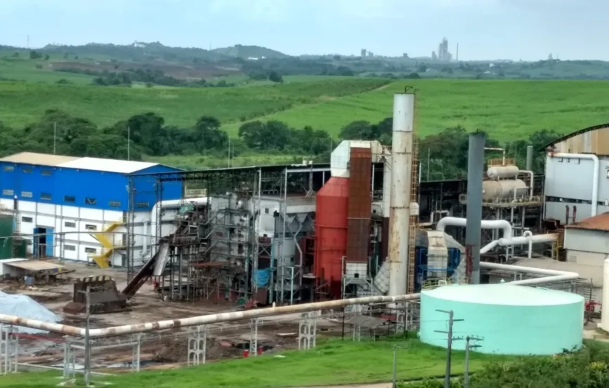 Saiba como a Usina São José do Pinheiro  avança em processos eficiência térmica