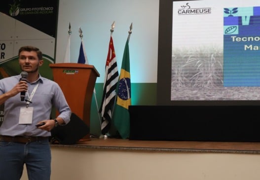 Cálcio, Magnésio e Enxofre: os nutrientes esquecidos que podem turbinar a cana