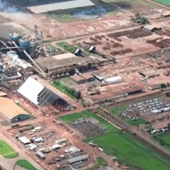 Como vai a safra nas unidades da Cerradinho? Saiba aqui