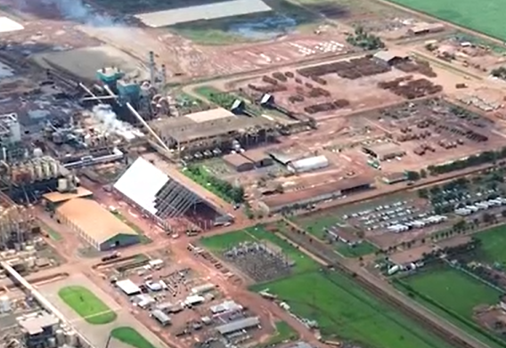 Como vai a safra nas unidades da Cerradinho? Saiba aqui