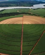 Saiba o desempenho da CMAA no terceiro trimestre da 25/26