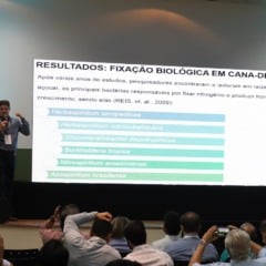 Microrganismos podem substituir parte dos químicos na cana?