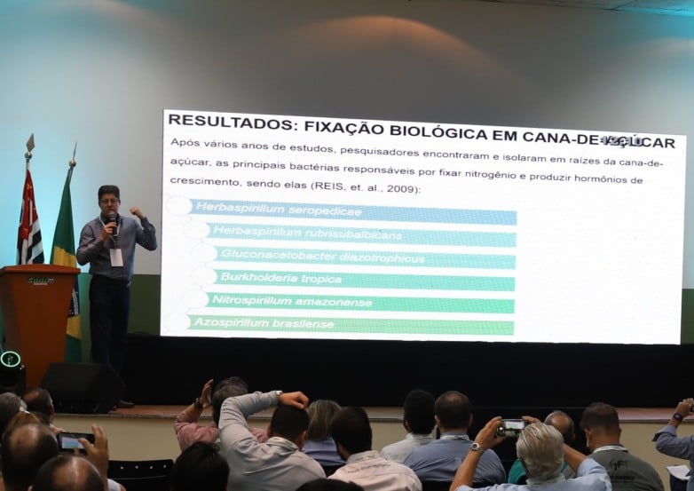 Microrganismos podem substituir parte dos químicos na cana?