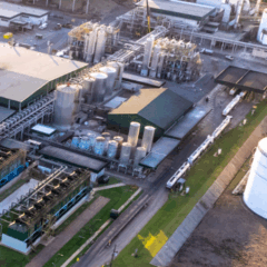 Saiba como vai a safra na FS