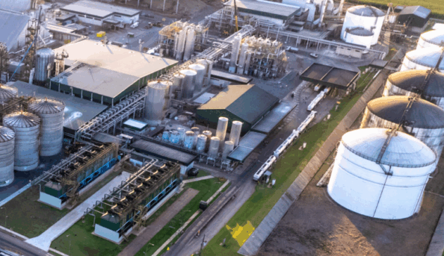 Saiba como vai a safra na FS