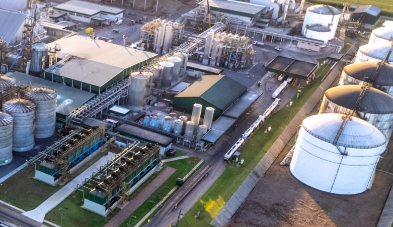 Saiba como vai a safra na FS