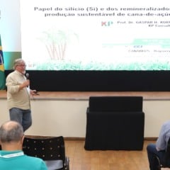 Remineralizadores podem blindar a cana contra longos períodos de seca?