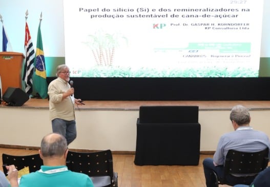 Remineralizadores podem blindar a cana contra longos períodos de seca?