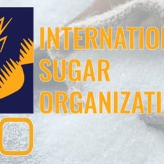 Sai previsão da ISO sobre mercado mundial de açúcar e de etanol; saiba aqui