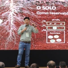 A construção de perfil de solo pode ser alicerce da produtividade