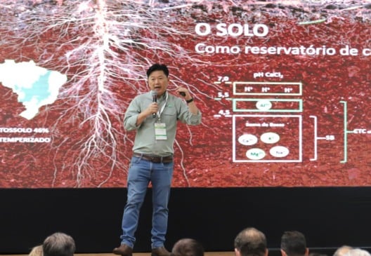 A construção de perfil de solo pode ser alicerce da produtividade