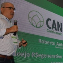 Usinas estão deixando dinheiro no pátio?