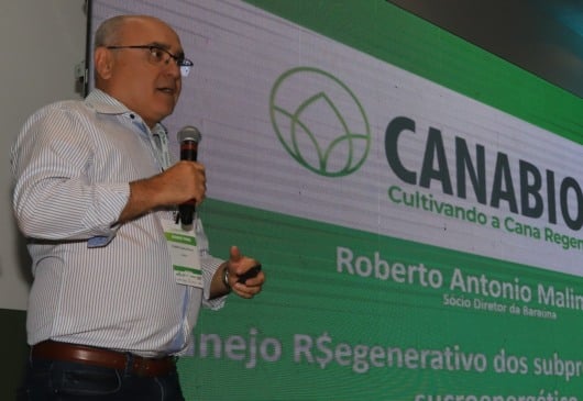 Usinas estão deixando dinheiro no pátio?