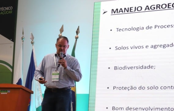 Manejo agroecológico garante produtividade de até 94 toneladas por hectare