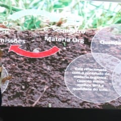 Solo regenerado é utopia ou o único caminho possível para o futuro da cana?