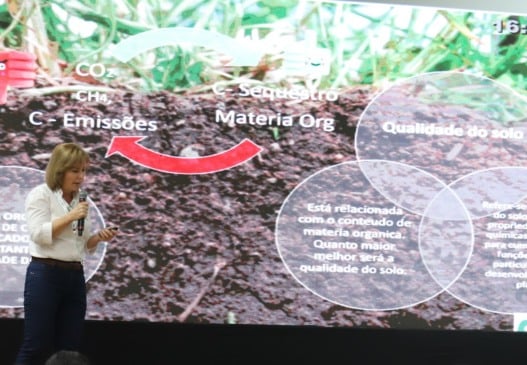 Solo regenerado é utopia ou o único caminho possível para o futuro da cana?