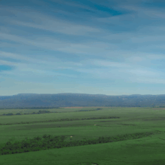 Usina pede licença para pivôs de irrigação