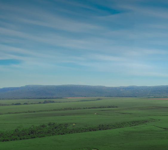 Usina pede licença para pivôs de irrigação