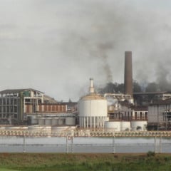 Novo conceito de design para usinas pode tornar o etanol um combustível com balanço de carbono negativo; tecnologia tem potencial de ser aplicada em outras formas de biomassa, ampliando seu impacto positivo - Foto: Wikimedia Commons