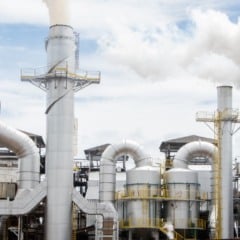 Usinas Batatais e Cevasa encerram a safra; saiba os resultados