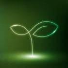 Tree icon vector environmental conservation symbol