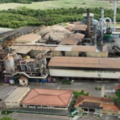 A usina produziu 263 mil toneladas de açúcar e quase 140 milhões de litros de etanol.